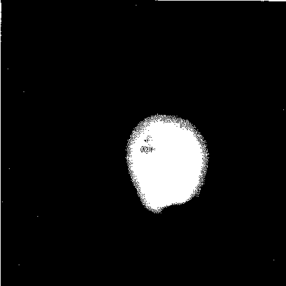 Saturated Apple image with the most white pixels